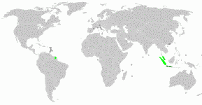 Javanese Map
